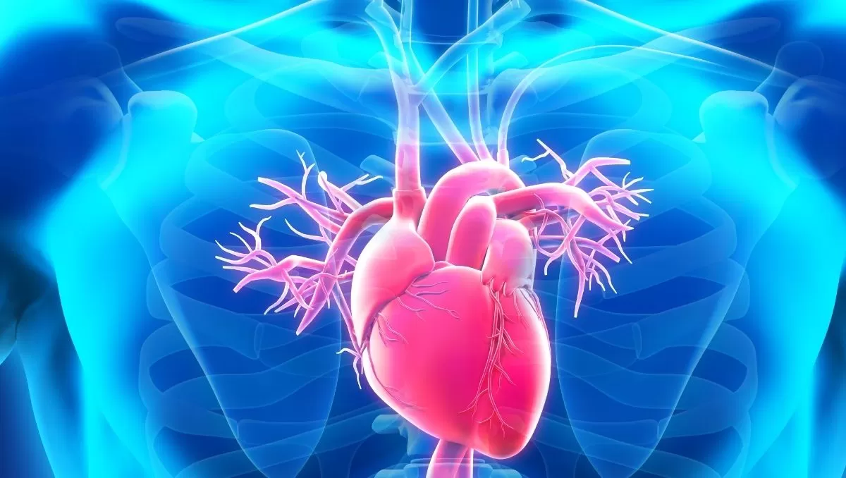 Aneurisma de Aorta Ascendente: A Ameaça Silenciosa Que Pode Ser Prevenida.